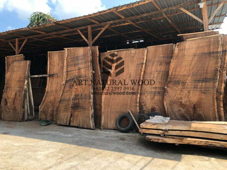 Kayu Trembesi Besar Solid Panjang Art Natural Wood